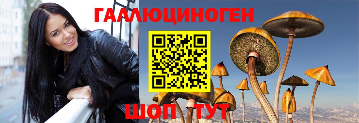 Краснокамск  Галлюциногенные грибы прущие грибы  Вход с VPN  продажа наркотиков  Галлюциногенные грибы GOLDEN TEACHER 